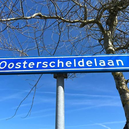 Vakantiehuis Met Luxe Tuin Dichtbij Het Strand Kamperland Esterno foto